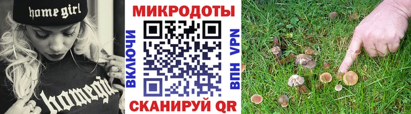 Псилоцибиновые грибы Psilocybine cubensis купить наркотик Лангепас